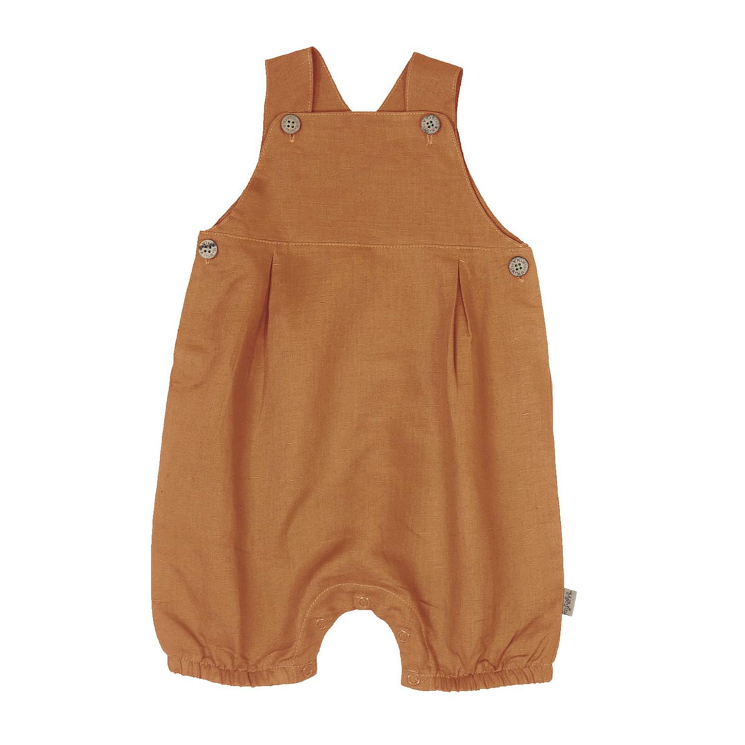 Nicholas linromper