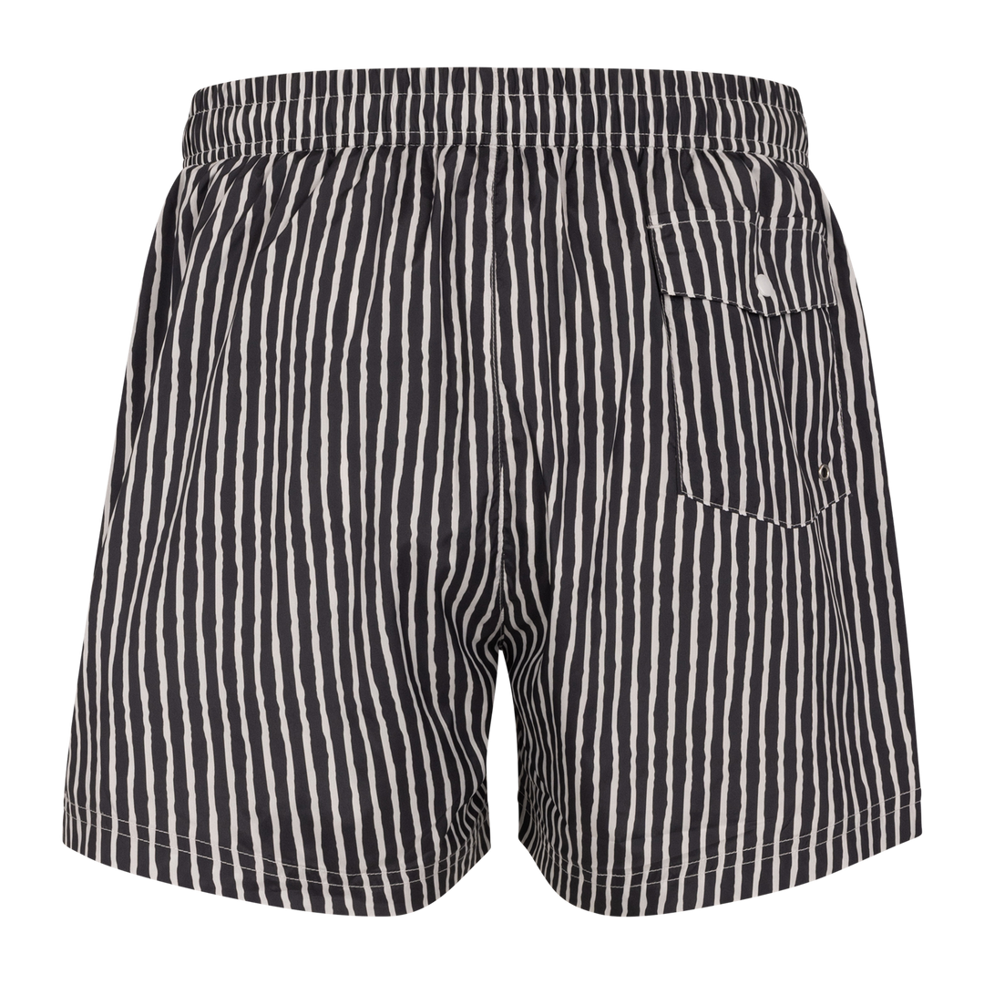 Hawaii Shorts
