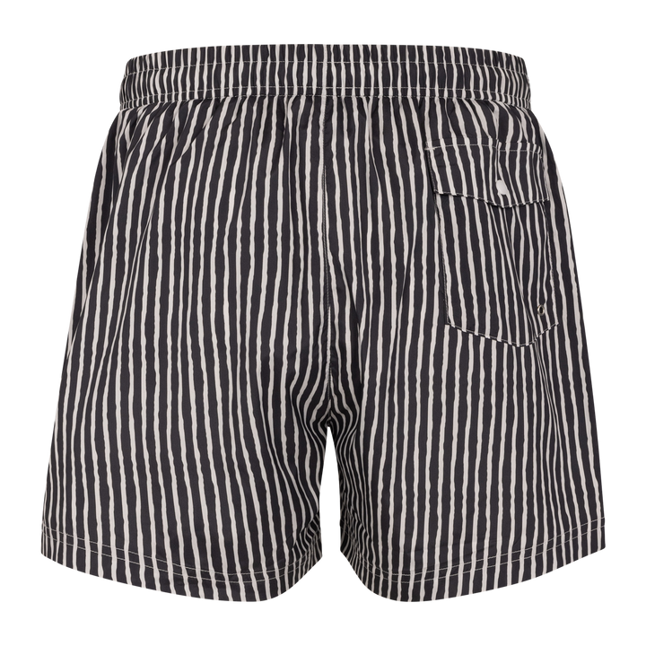 Hawaii Shorts