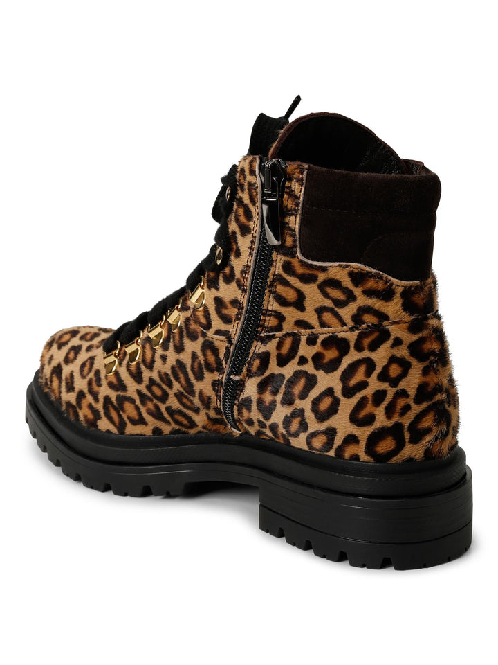 1-Caval.Leopard