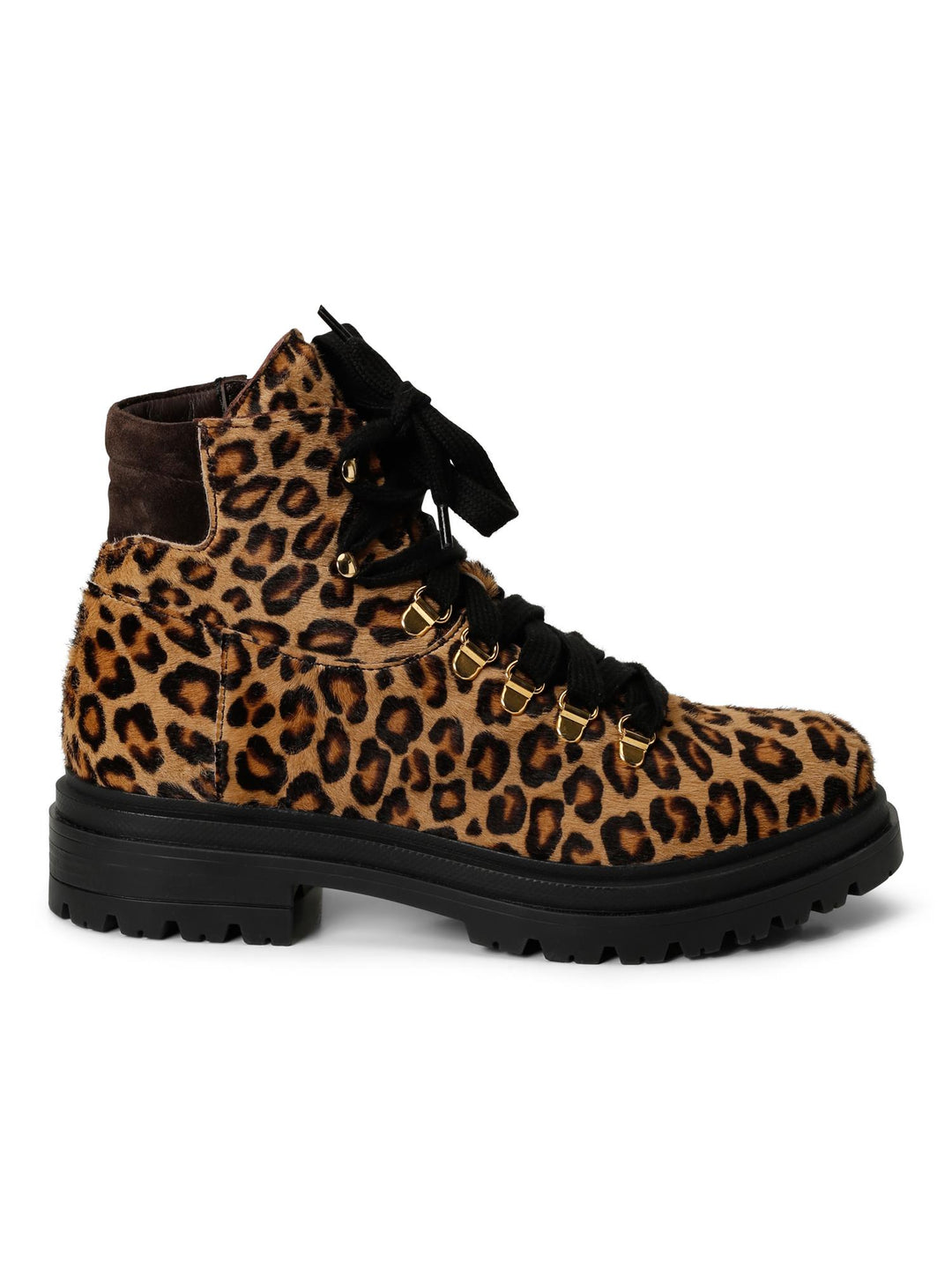 1-Caval.Leopard